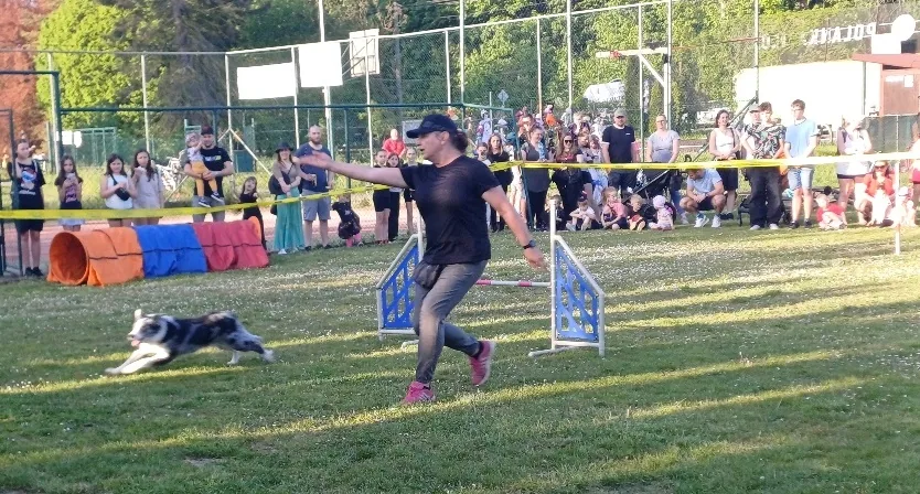 Ukázka oddílu agility na Čarodějném reji